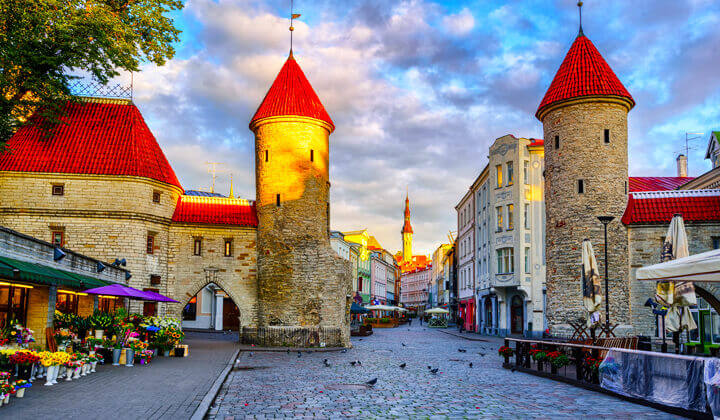 estonia tour package from india