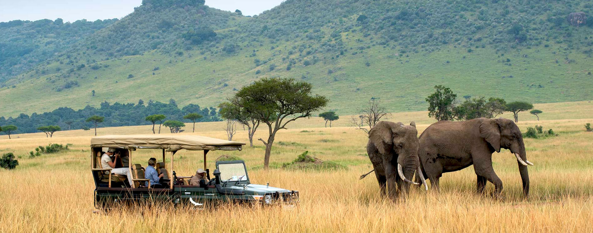 Masai Mara, The Only Way To Pure Natural Wildlife