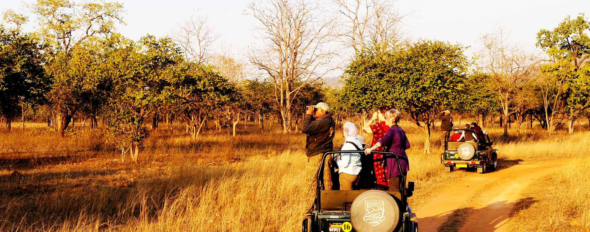 Romantic India And Jungle Safaris 12 Nights