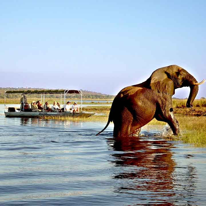 zambia tour packages from india