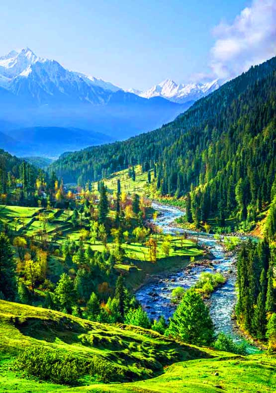 Delightful Kashmir