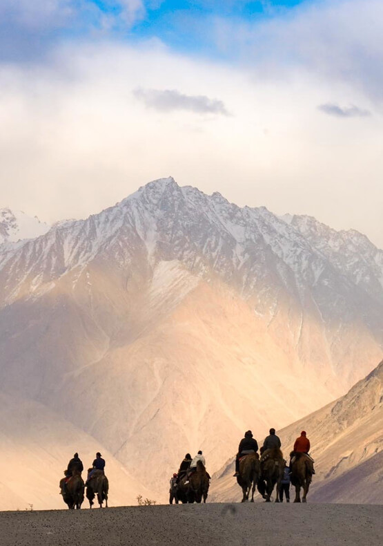 A Journey Through Ladakh And Beyond