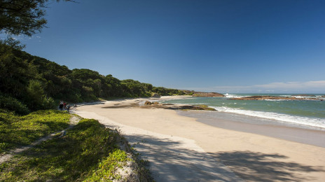 Manafiafy Beach & Rainforest Lodge