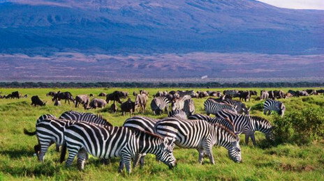 35+ Top Kenya Tourist Attractions, Places to Visit in Kenya