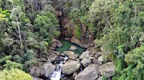 El Bosque Nacional del Caribe