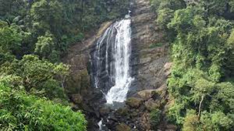 Cheeyappara And Valara Waterfalls - Idukki