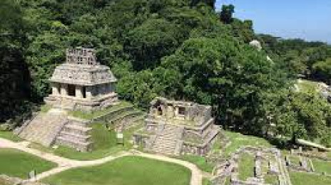 Zona Arqueolgica Palenque