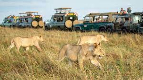 Maasai Mara National Reserve