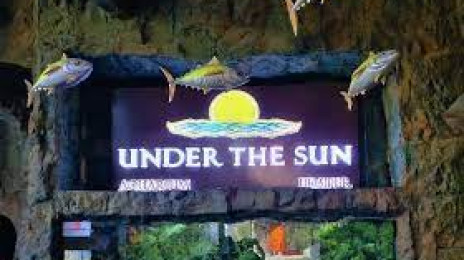 Under The Sun Aquarium