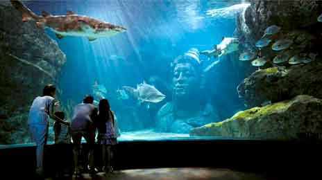 Siam Ocean World