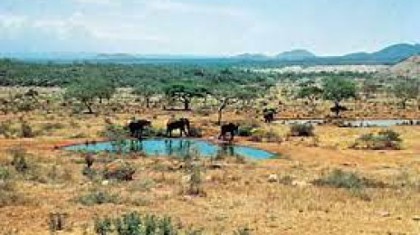 Tsavo National Park