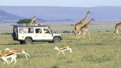 African Budget Safaris