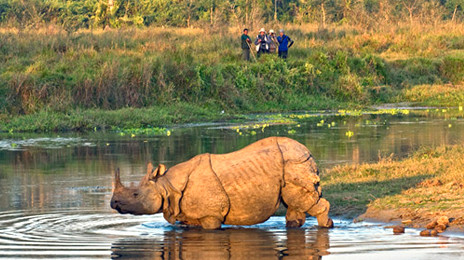 Chitwan National Park