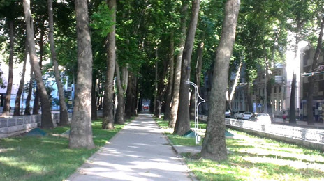 Rudaki Avenue