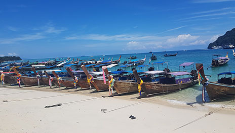 Phi Phi Island Boat Tours