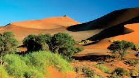 Namib Desert