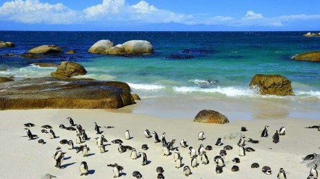 Boulders Beach