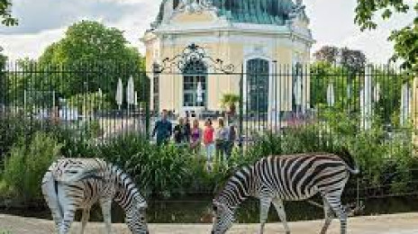 Schnbrunn Zoo