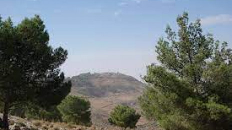 Mount Nebo