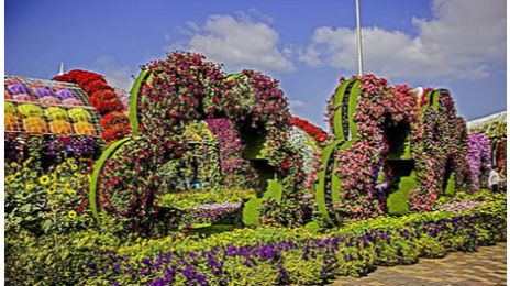 Dubai Miracle Garden