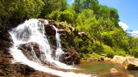 Black River Gorges National Park Visitors Centre