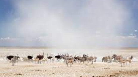 Etosha National Park