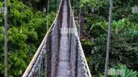 Iwokrama Canopy Walkway