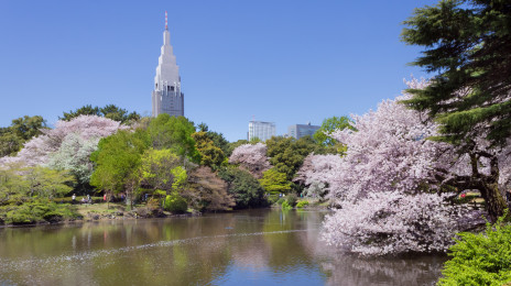 Shinjuku Garden House