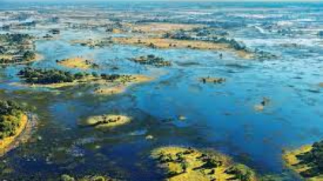 Okavango Delta